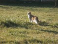 /album/galeria-de-fotos-miantes-amigos/a3-jpg/